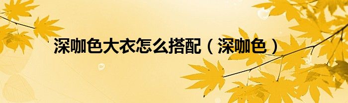 深咖色大衣怎么搭配（深咖色）