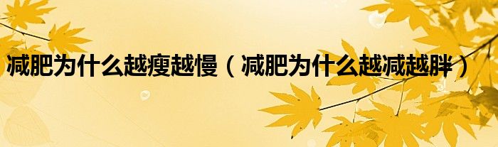 减肥为什么越瘦越慢（减肥为什么越减越胖）