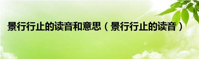 景行行止的读音和意思（景行行止的读音）