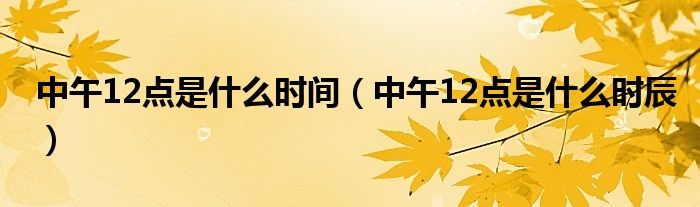 中午12点是什么时间（中午12点是什么时辰）