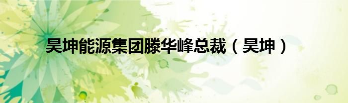 昊坤能源集团滕华峰总裁（昊坤）