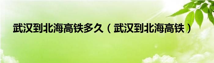 武汉到北海高铁多久（武汉到北海高铁）