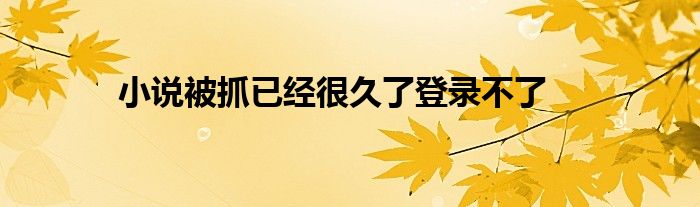小说被抓已经很久了登录不了