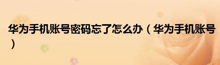 华为手机账号密码忘了怎么办（华为手机账号）