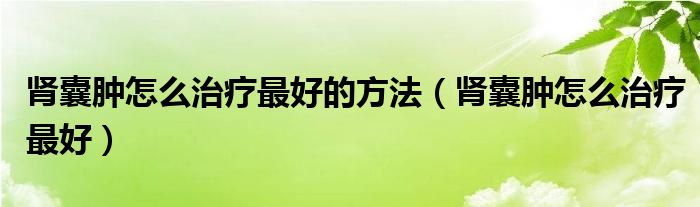 肾囊肿怎么治疗最好的方法(肾囊肿怎么治疗最好)