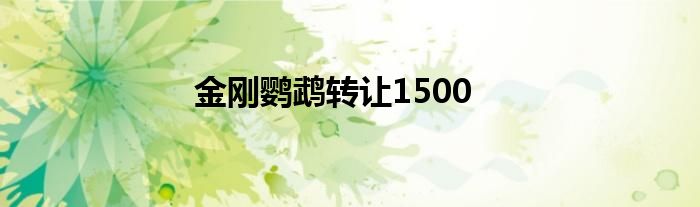 金刚鹦鹉转让1500