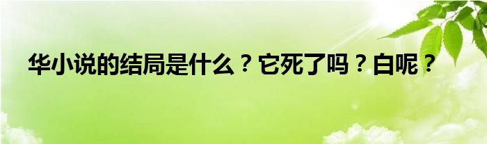 华小说的结局是什么？它死了吗？白呢？