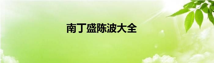 南丁盛陈波大全