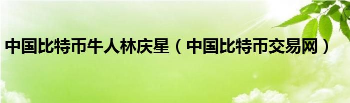 中国比特币牛人林庆星（中国比特币交易网）