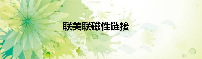 联美联磁性链接