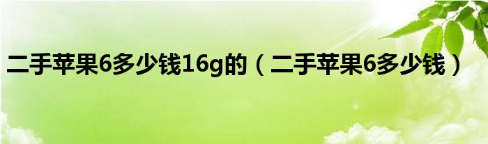 二手苹果6多少钱16g的（二手苹果6多少钱）