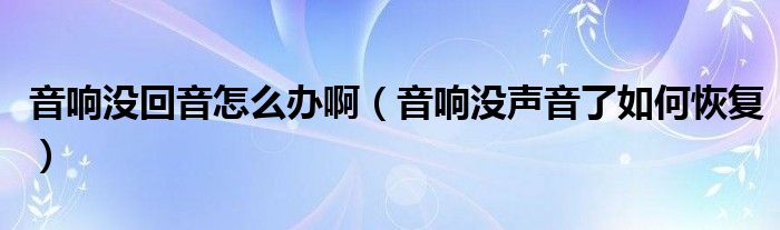 音响没回音怎么办啊（音响没声音了如何恢复）