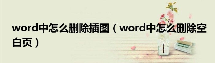word中怎么删除插图（word中怎么删除空白页）
