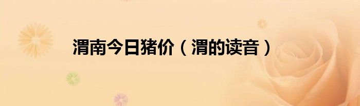 渭南今日猪价（渭的读音）