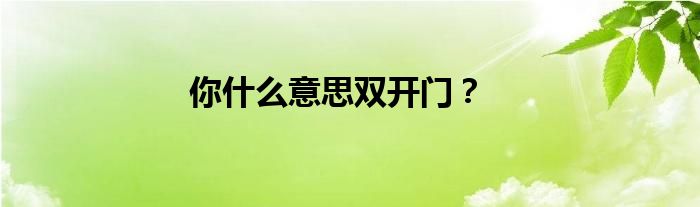你什么意思双开门?