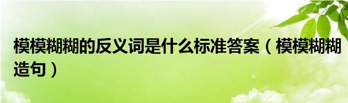 模模糊糊的反义词是什么标准答案（模模糊糊造句）