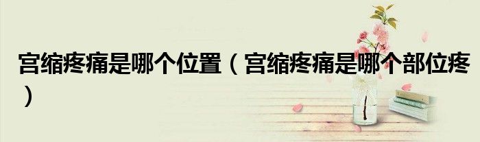 宫缩疼痛是哪个位置(宫缩疼痛是哪个部位疼)