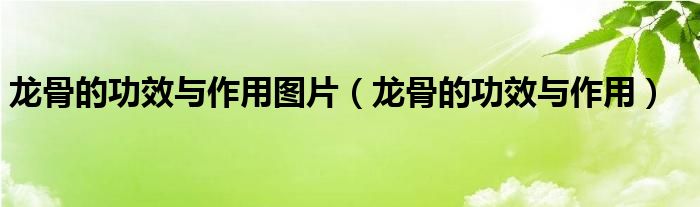 龙骨的功效与作用图片（龙骨的功效与作用）