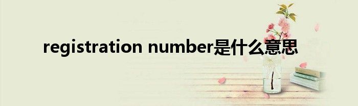 registration number是什么意思