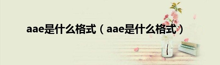 aae是什么格式（aae是什么格式）
