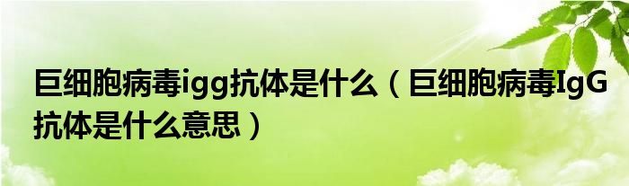 巨细胞病毒igg抗体是什么（巨细胞病毒IgG抗体是什么意思）