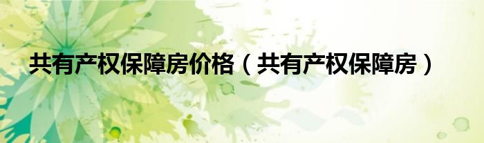 共有产权保障房价格（共有产权保障房）