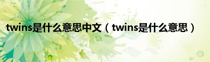 twins是什么意思中文（twins是什么意思）