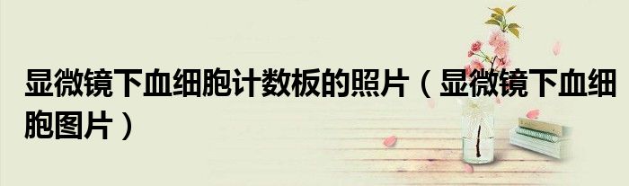 显微镜下血细胞计数板的照片（显微镜下血细胞图片）