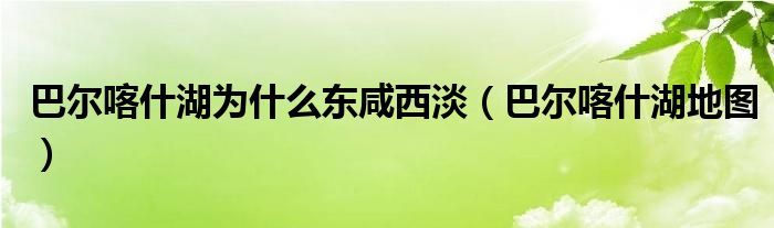 巴尔喀什湖为什么东咸西淡（巴尔喀什湖地图）