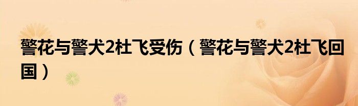 警花与警犬2杜飞受伤（警花与警犬2杜飞回国）