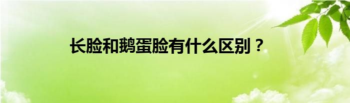 长脸和鹅蛋脸有什么区别？