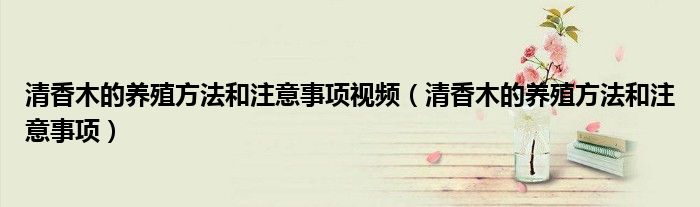 清香木的养殖方法和注意事项视频（清香木的养殖方法和注意事项）