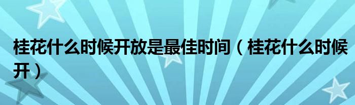桂花什么时候开放是最佳时间（桂花什么时候开）