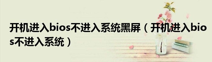 开机进入bios不进入系统黑屏（开机进入bios不进入系统）