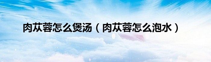 肉苁蓉怎么煲汤（肉苁蓉怎么泡水）