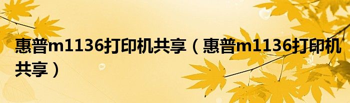 惠普m1136打印机共享（惠普m1136打印机共享）