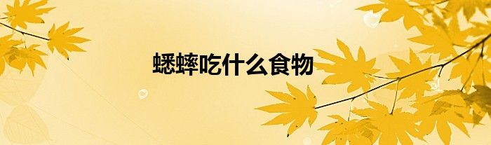 蟋蟀吃什么食物