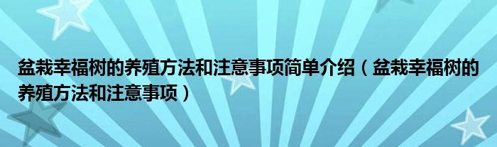 盆栽幸福树的养殖方法和注意事项简单介绍（盆栽幸福树的养殖方法和注意事项）