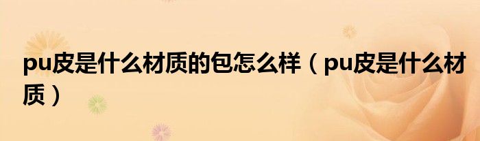 pu皮是什么材质的包怎么样（pu皮是什么材质）
