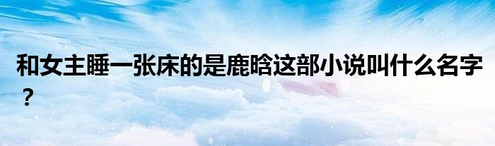 和女主睡一张床的是鹿晗这部小说叫什么名字？