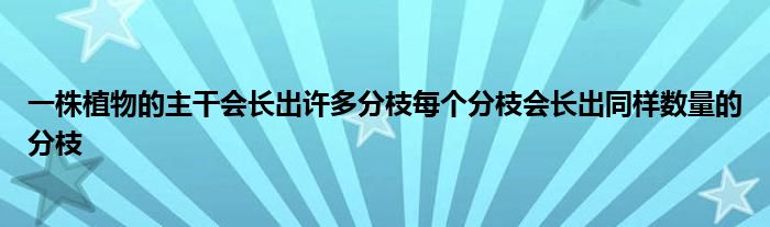 一株植物的主干会长出许多分枝每个分枝会长出同样数量的分枝