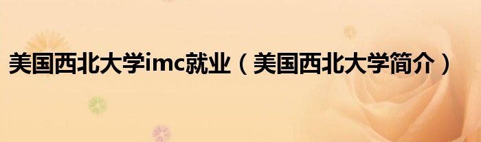 美国西北大学imc就业（美国西北大学简介）