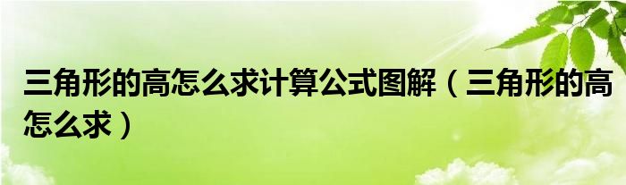 三角形的高怎么求计算公式图解（三角形的高怎么求）