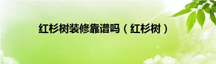 红杉树装修靠谱吗（红杉树）