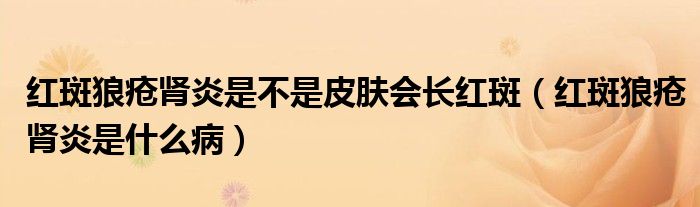 红斑狼疮肾炎是不是皮肤会长红斑（红斑狼疮肾炎是什么病）