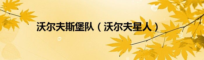 沃尔夫斯堡队（沃尔夫星人）