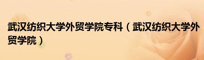 武汉纺织大学外贸学院专科（武汉纺织大学外贸学院）
