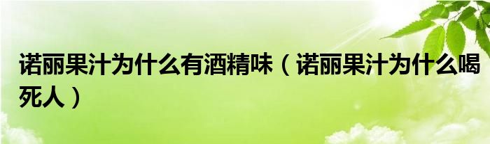 诺丽果汁为什么有酒精味（诺丽果汁为什么喝死人）