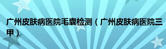广州皮肤病医院毛囊检测（广州皮肤病医院三甲）