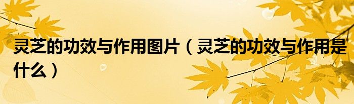 灵芝的功效与作用图片（灵芝的功效与作用是什么）